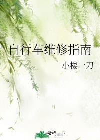自行车拆装与维修教程