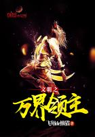 文明之万界领主精校版百度云