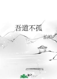 吾道不孤矣