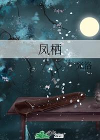 凤栖梧结局