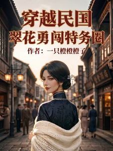 穿越民国：翠花勇闯特务圈