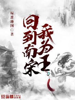 回到南宋 小说